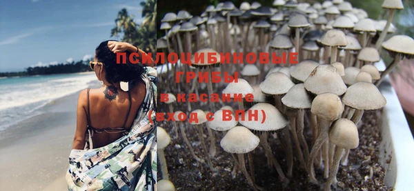 2c-b Елабуга