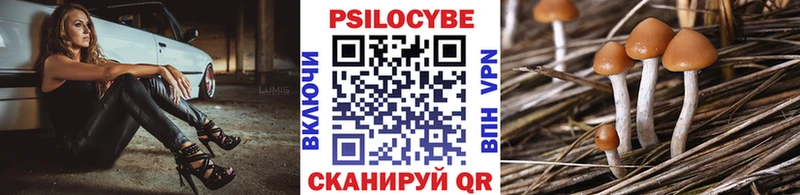 Псилоцибиновые грибы ЛСД Новочебоксарск