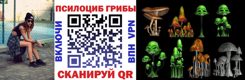Галлюциногенные грибы Psilocybine cubensis Новочебоксарск